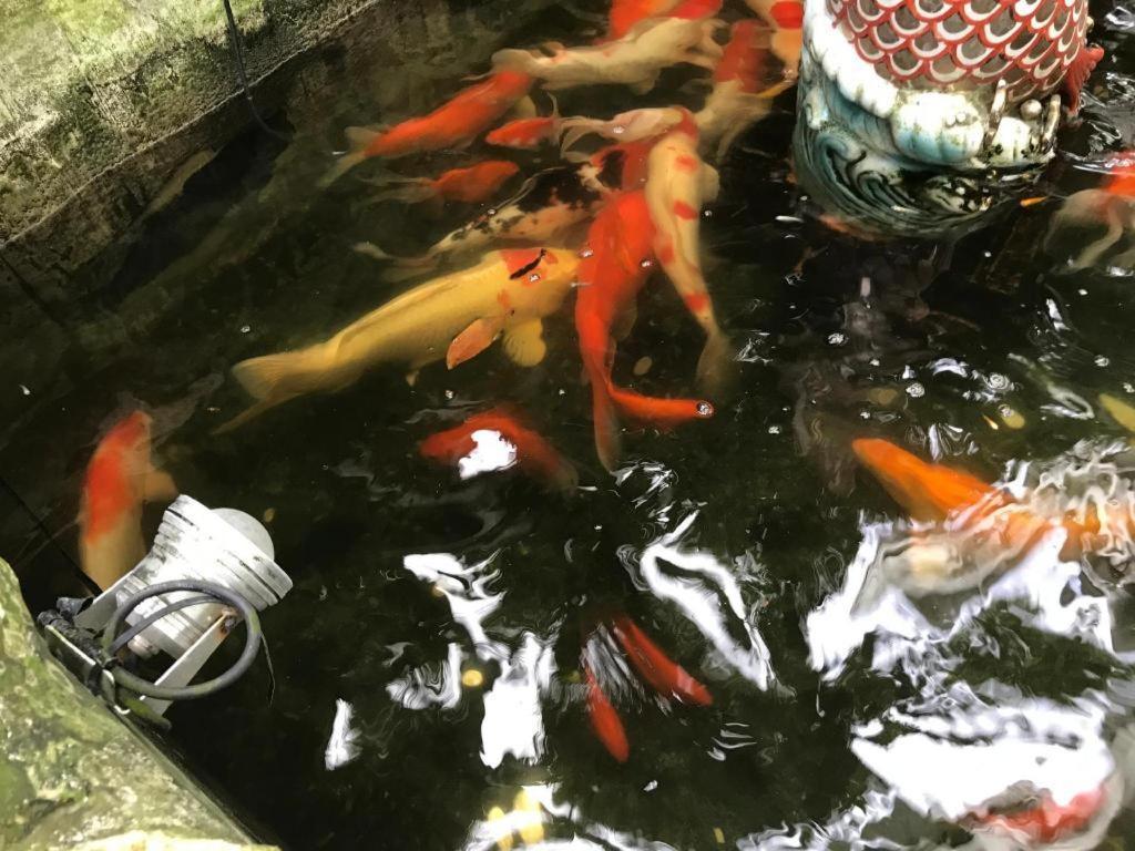 Lai Ming Hotel Cosmoland Singapur Dış mekan fotoğraf